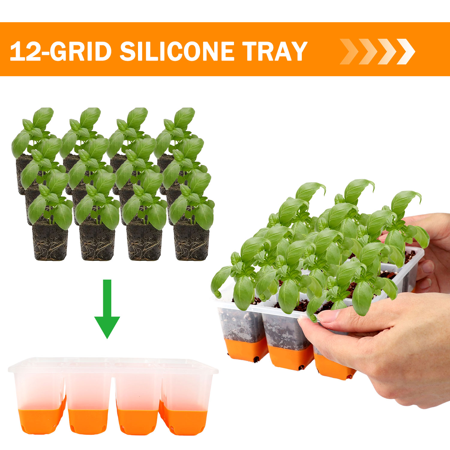 Seed Starter Trays - 5/10 Orange Seed Starter Tray Box