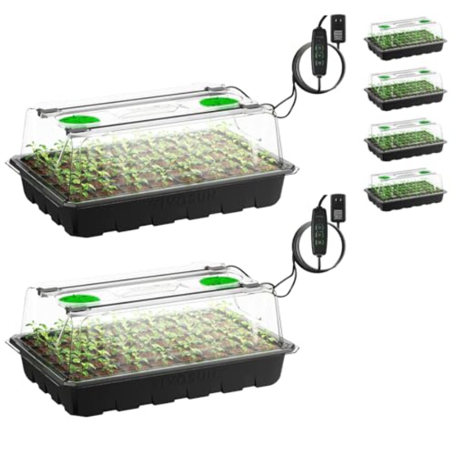 Seed Starter Trays - 6er-Pack Anzuchtschalen für den Innenbereich, grüne
