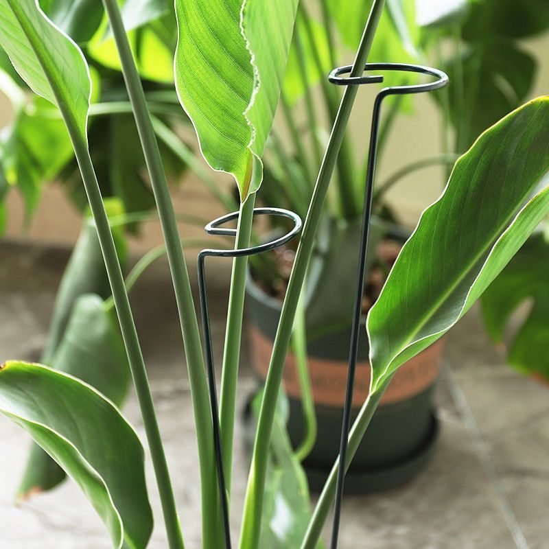 1/10 stücke Garten Unterstützu – Gardening Tools Hoe Bewertung und Preis