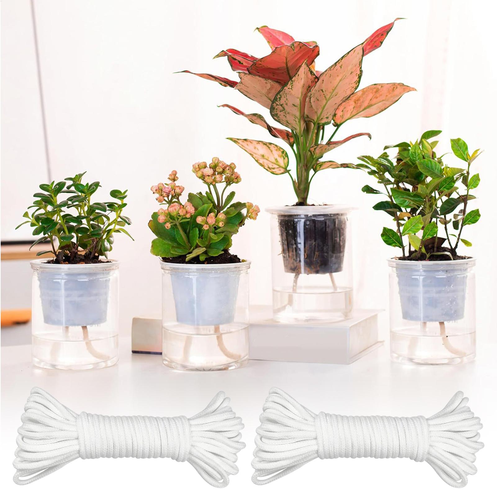 Pflanzenwickler für Selbstbewä – Automatic Plant Waterer Bewertung und Preis