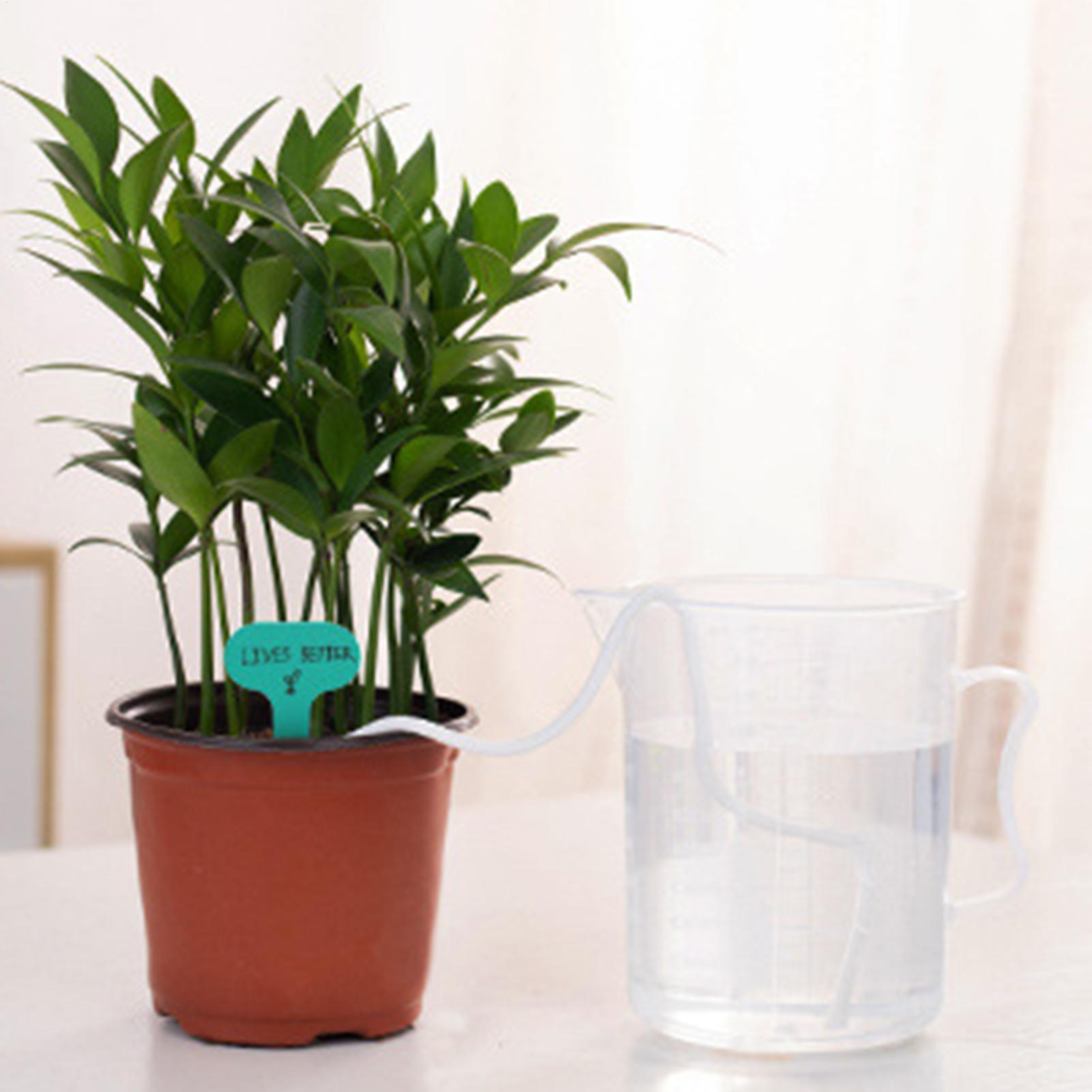 Pflanzenwickler für Selbstbewä – Automatic Plant Waterer Bewertung und Preis