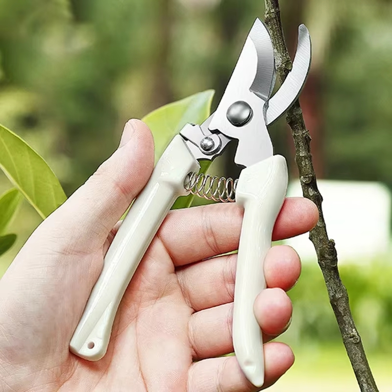 Edelstahl-Gartenschere für Blu – Gardening Tools To Cut Branches Bewertung und Preis