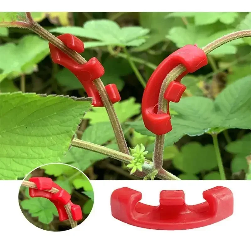 10-100 Stück Pflanzenbieger fü – Gardening Tools Lowes Bewertung und Preis