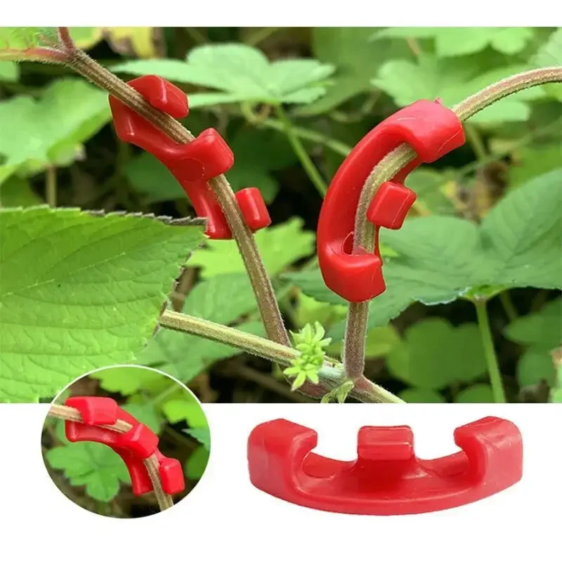 10-100 Stück 90-Grad-Pflanzenb – Gardening Tools Lowes Bewertung und Preis