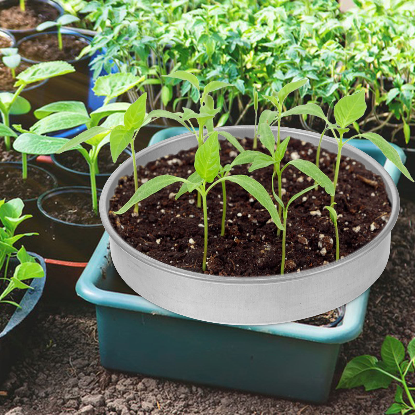 1 Set Keimschale aus Edelstahl – Seed Starter Trays Bewertung und Preis