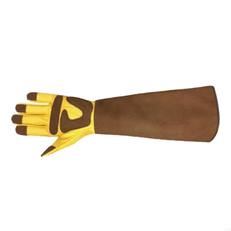 F19B Leder-Rosenschnitthandsch – Garden Gloves Thorn Proof Bewertung und Preis