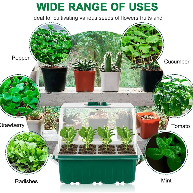 12-Zellen-LED-Wachstumslicht-S – Seed Starter Trays Bewertung und Preis