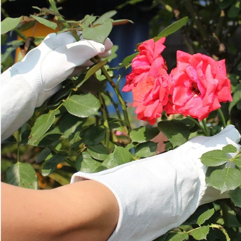 Ein Paar Gartenhandschuhe, dor – Garden Gloves Thorn Proof Bewertung und Preis