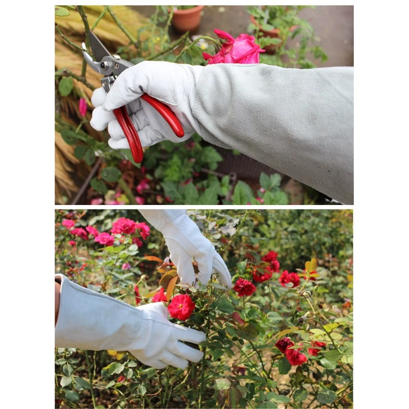 Ein Paar Gartenhandschuhe, dor – Garden Gloves Thorn Proof Bewertung und Preis