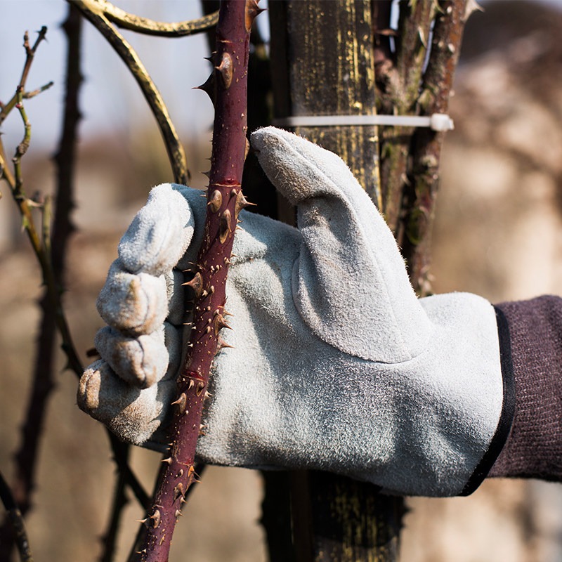 Ein Paar Gartenhandschuhe, dor – Garden Gloves Thorn Proof Bewertung und Preis