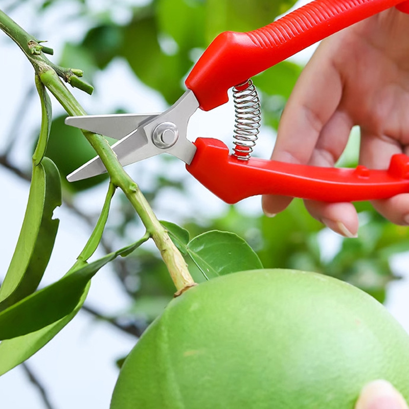 Einhand-Gartenschere für Äste, – Gardening Tools To Cut Branches Bewertung und Preis