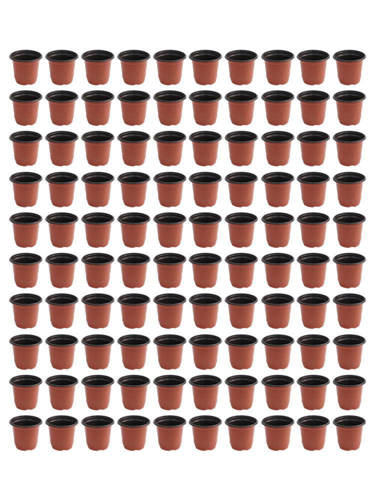 100 Stück zweifarbige Blumentö – Seed Starter Trays Bewertung und Preis