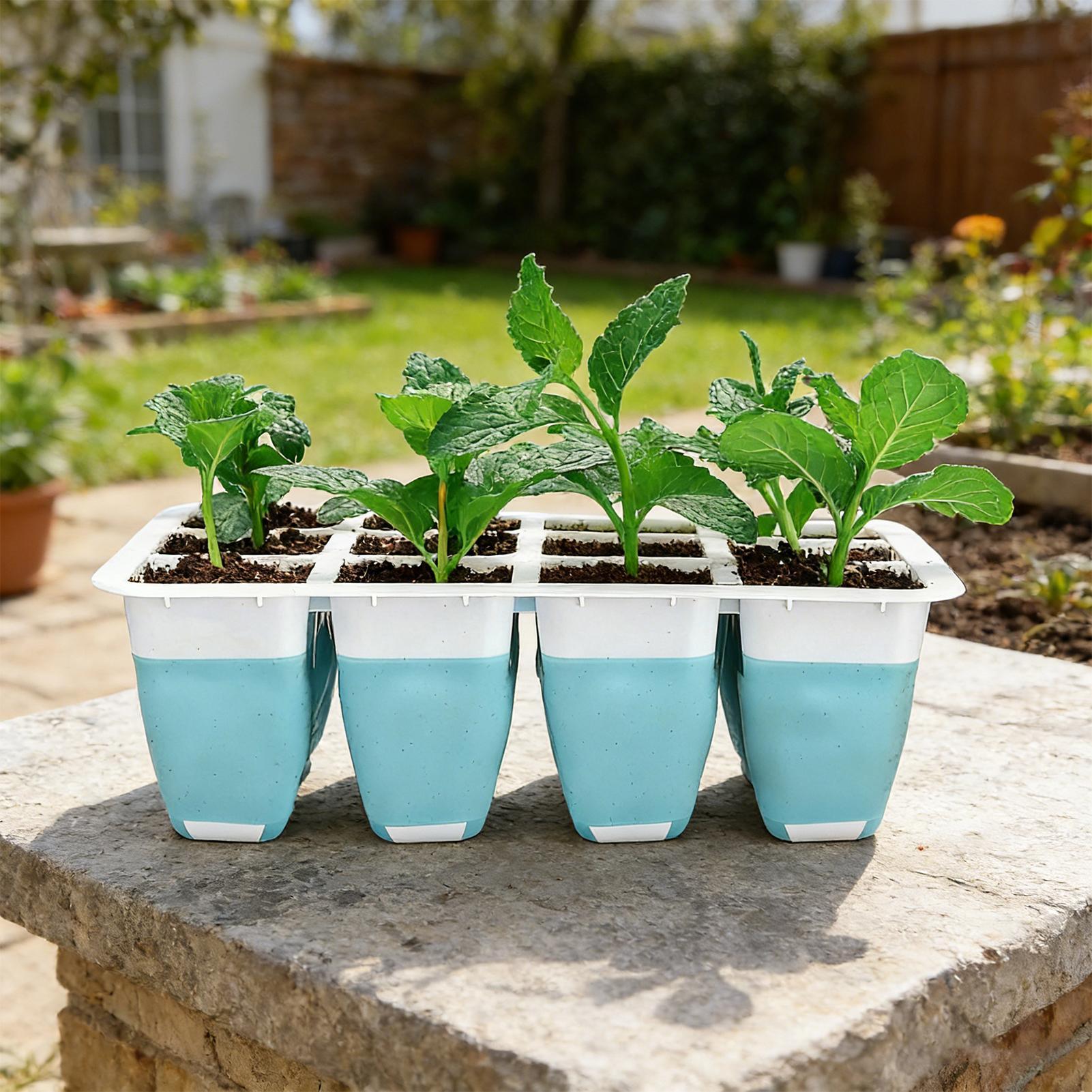 5er-Pack Silikon-Anzuchtschale – Seed Starter Trays Bewertung und Preis