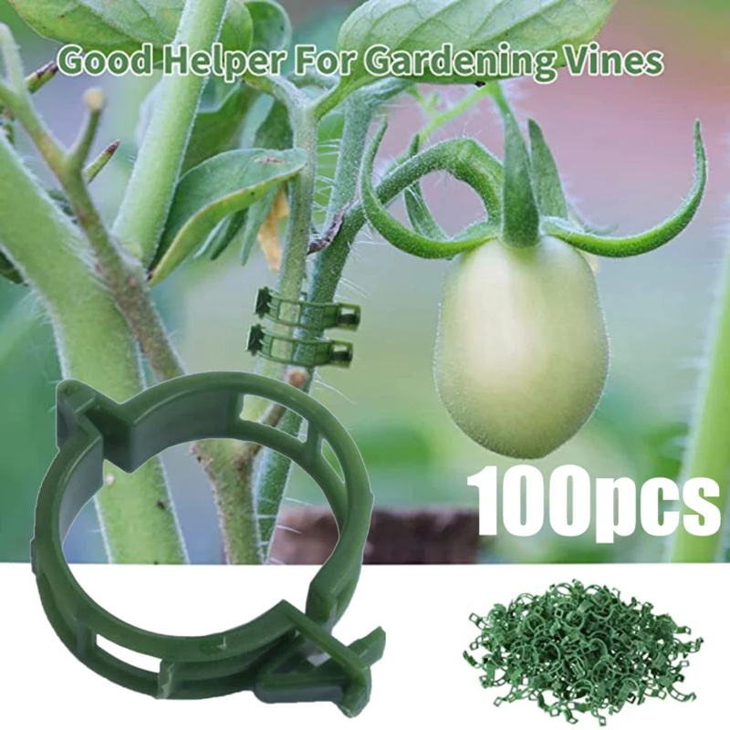 100 Stück/Pflanzens tützclip K – Gardening Tools Hoe Bewertung und Preis