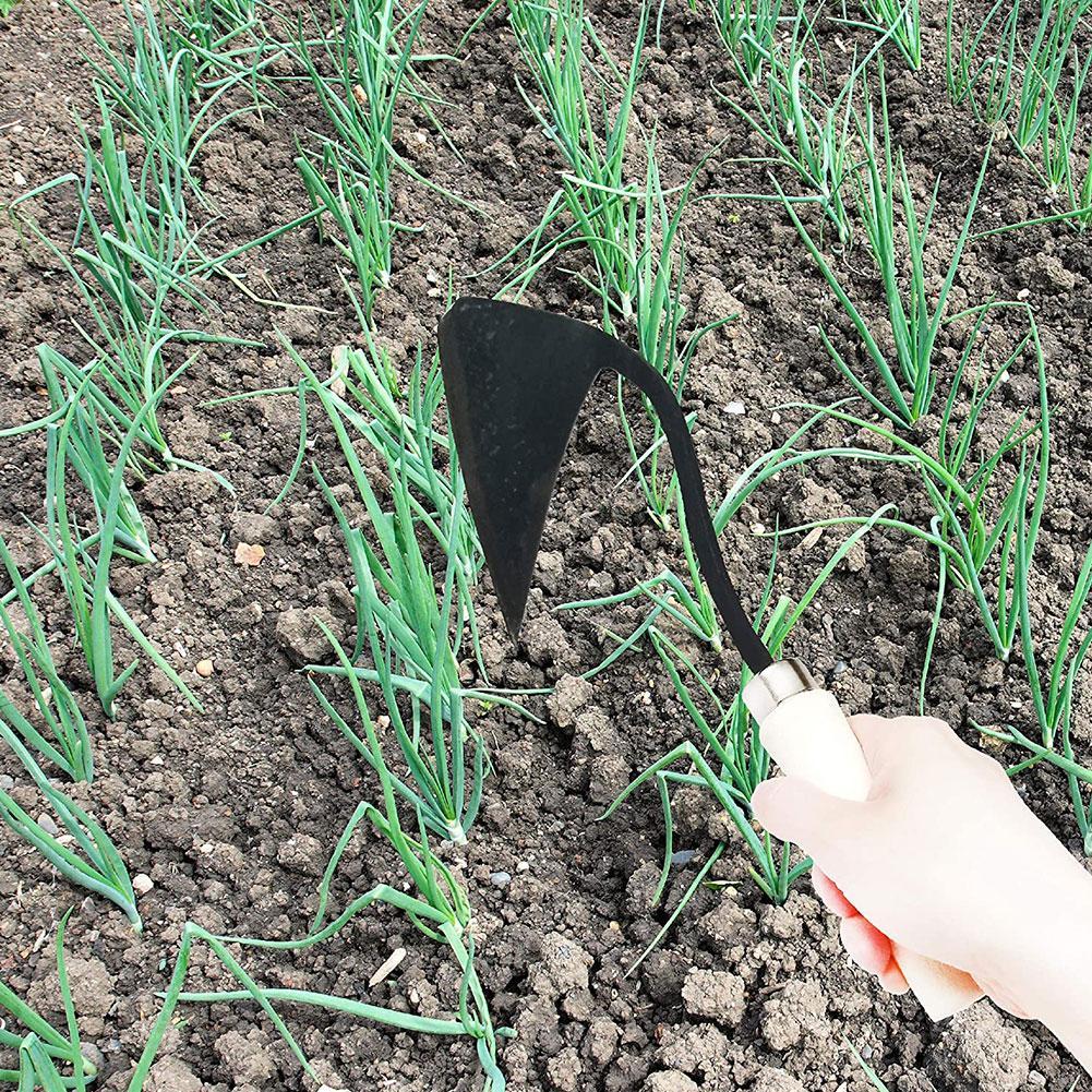 Landwirtschaftliche Werkzeuge  – Gardening Tools Hoe Bewertung und Preis