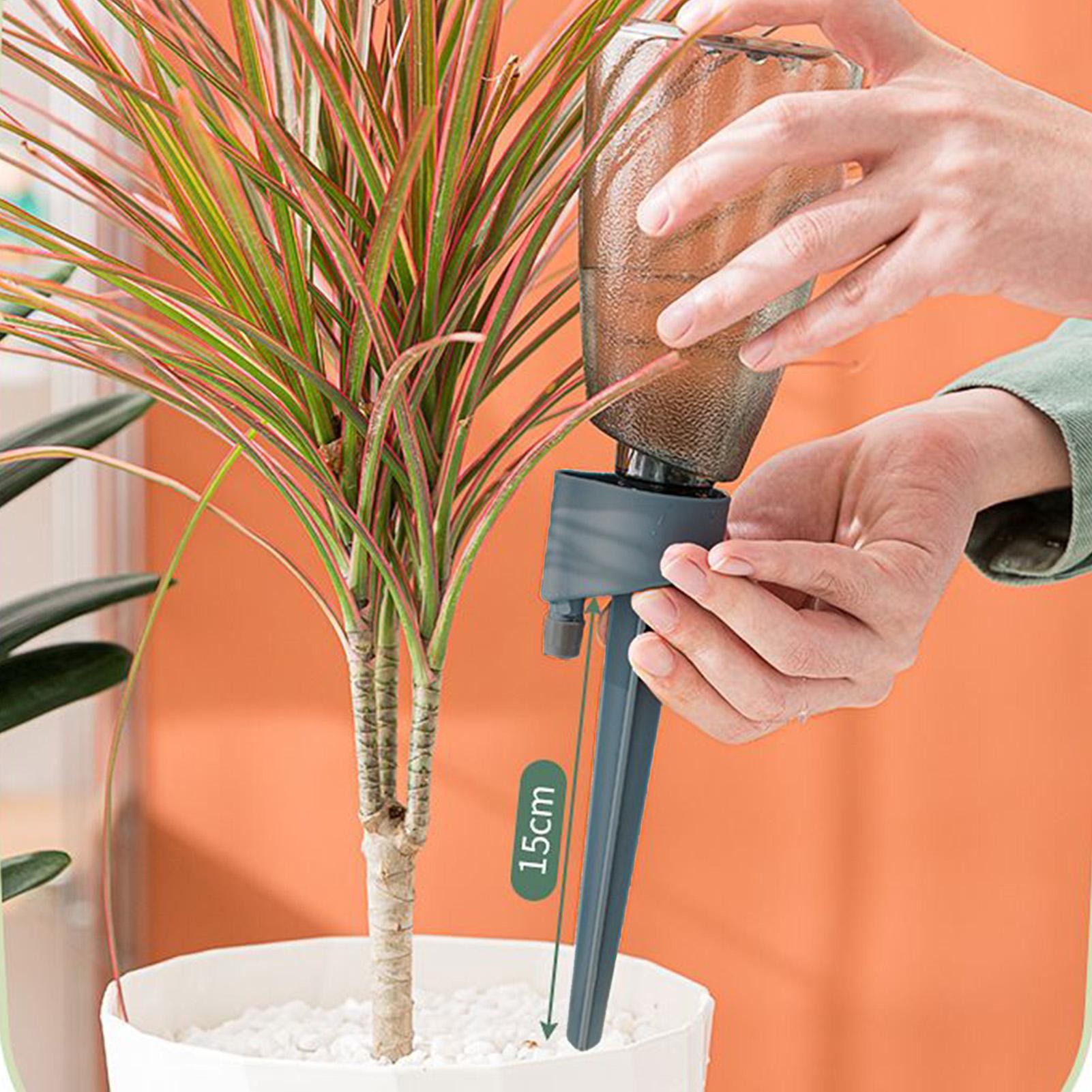 6-teiliges Automatisches Bewäs – Automatic Plant Waterer Bewertung und Preis