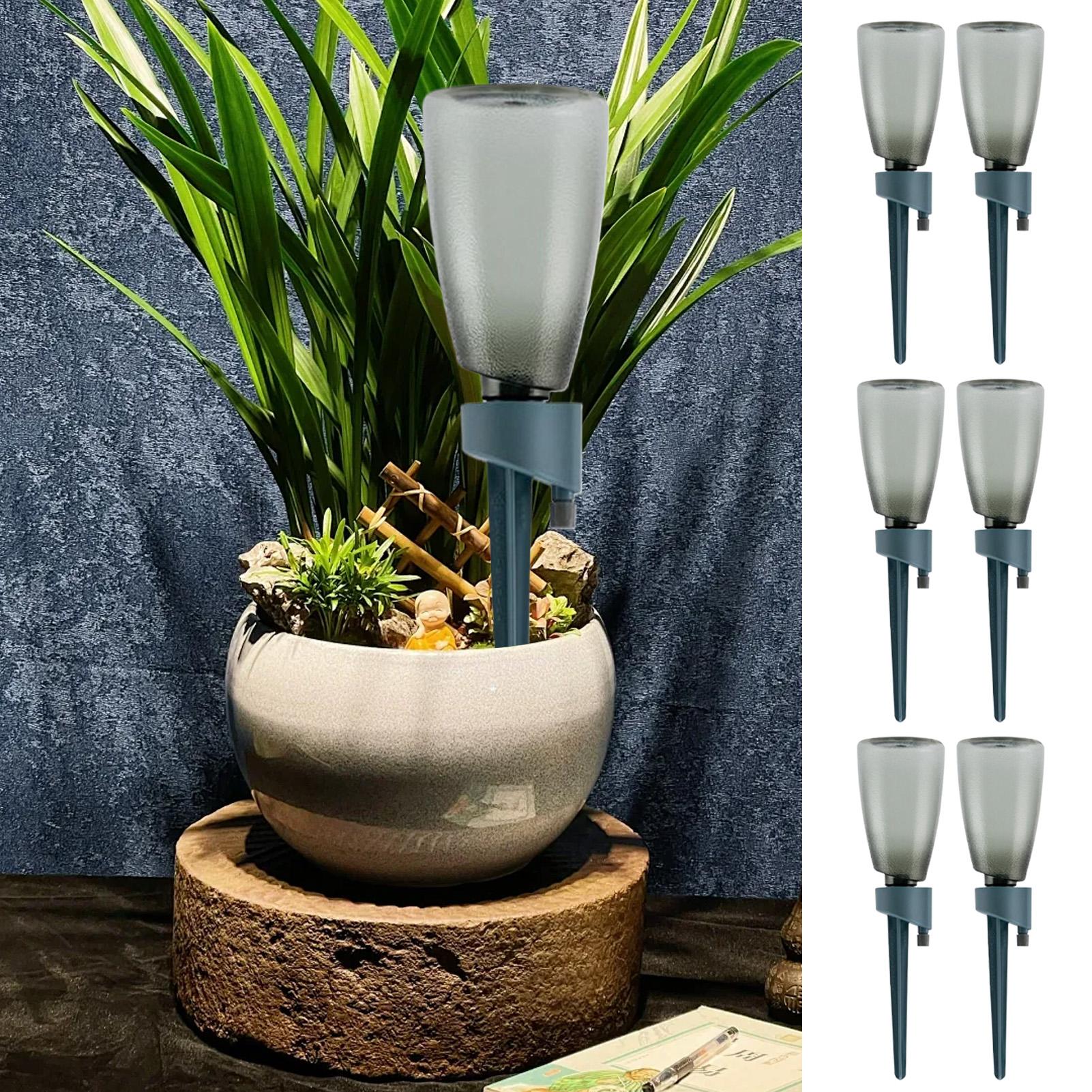 6-teiliges Automatisches Bewäs – Automatic Plant Waterer Bewertung und Preis