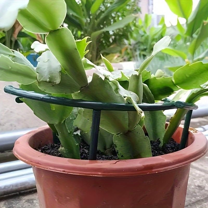 30-1 Stück Kunststoff-Pflanzen – Gardening Tools Hoe Bewertung und Preis