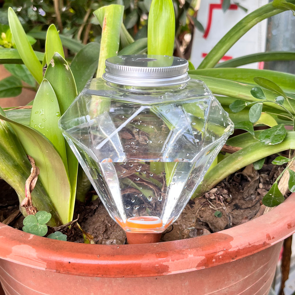 1 Stück Niedliche Kunststoff-B – Automatic Plant Waterer Bewertung und Preis