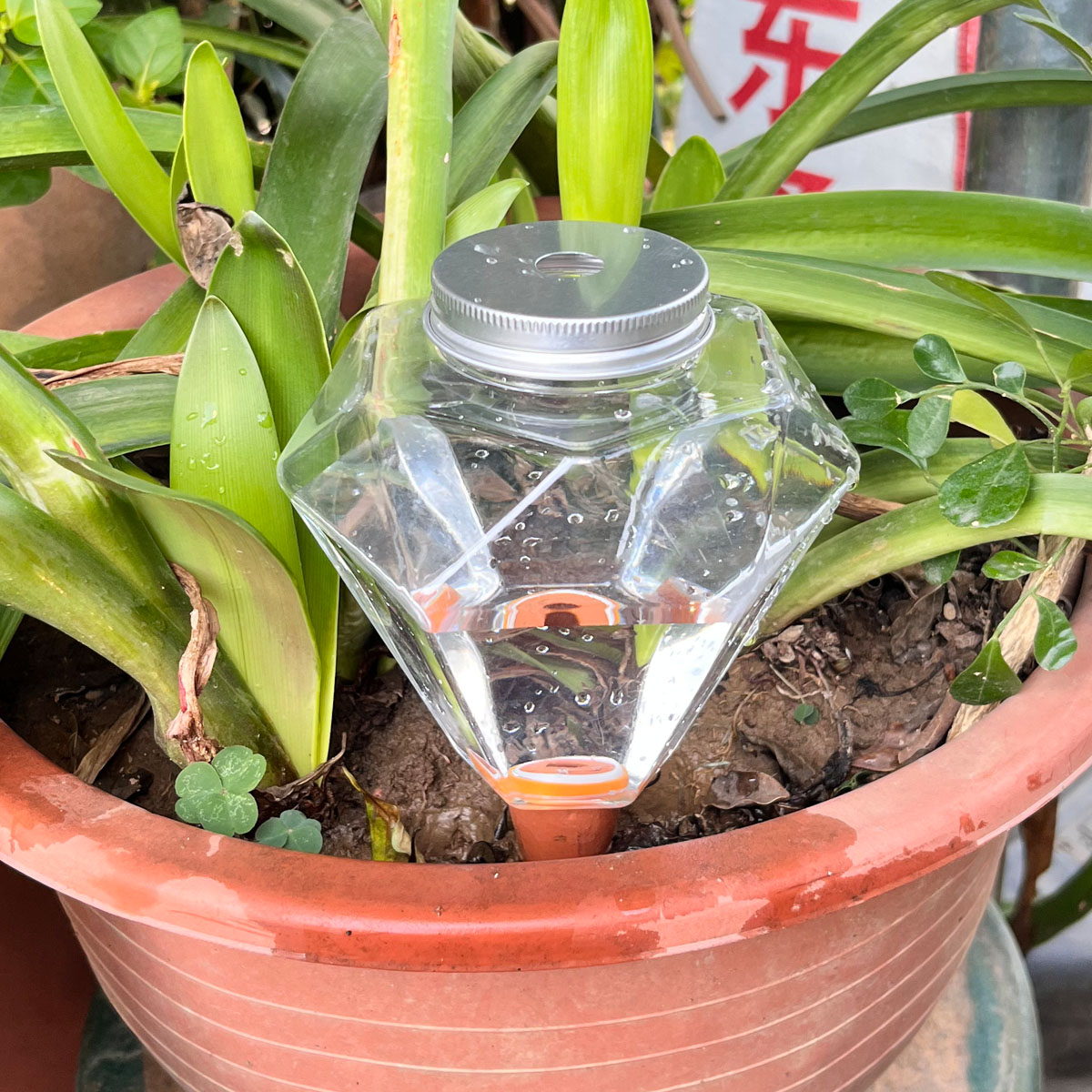 1 Stück Niedliche Kunststoff-B – Automatic Plant Waterer Bewertung und Preis
