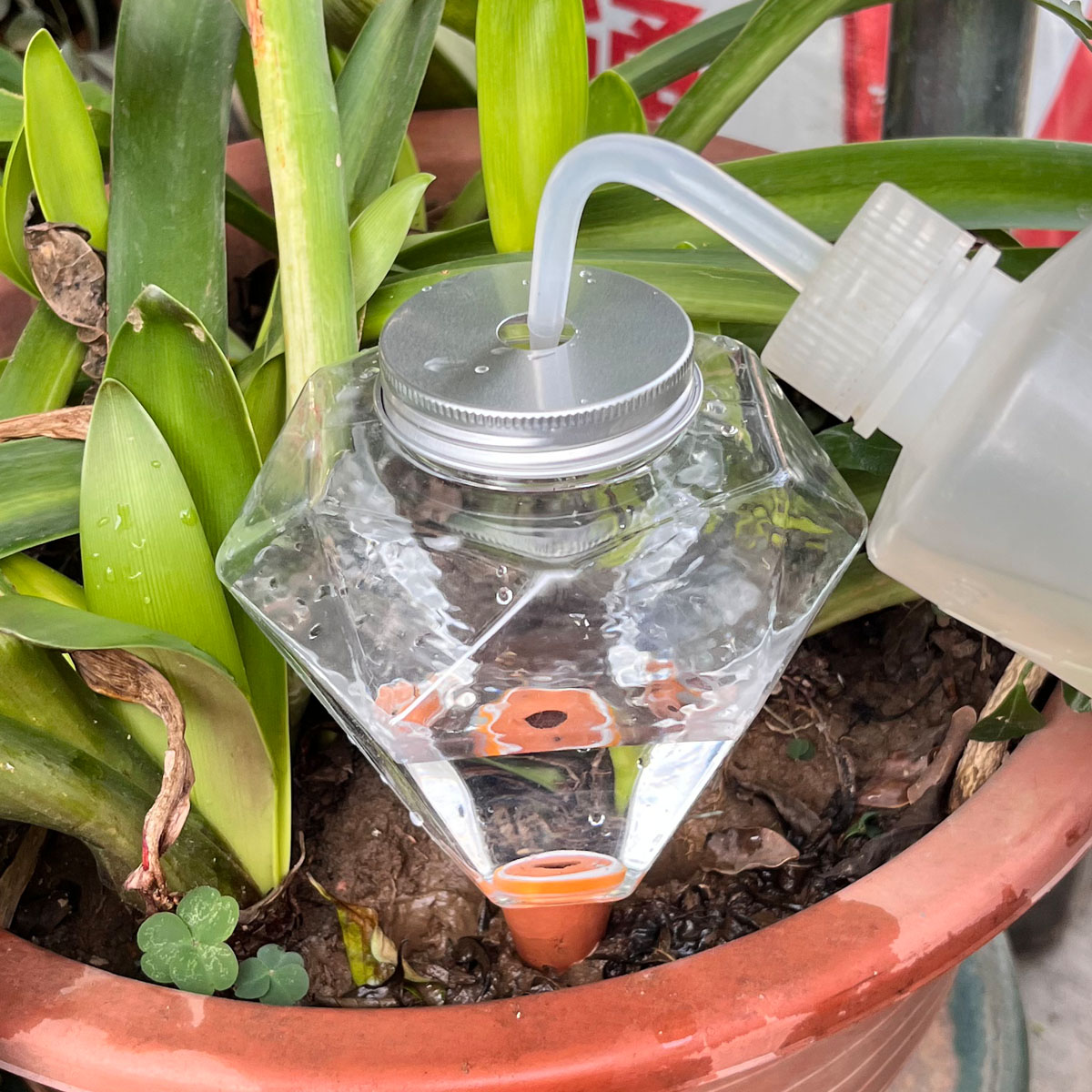 1 Stück Niedliche Kunststoff-B – Automatic Plant Waterer Bewertung und Preis
