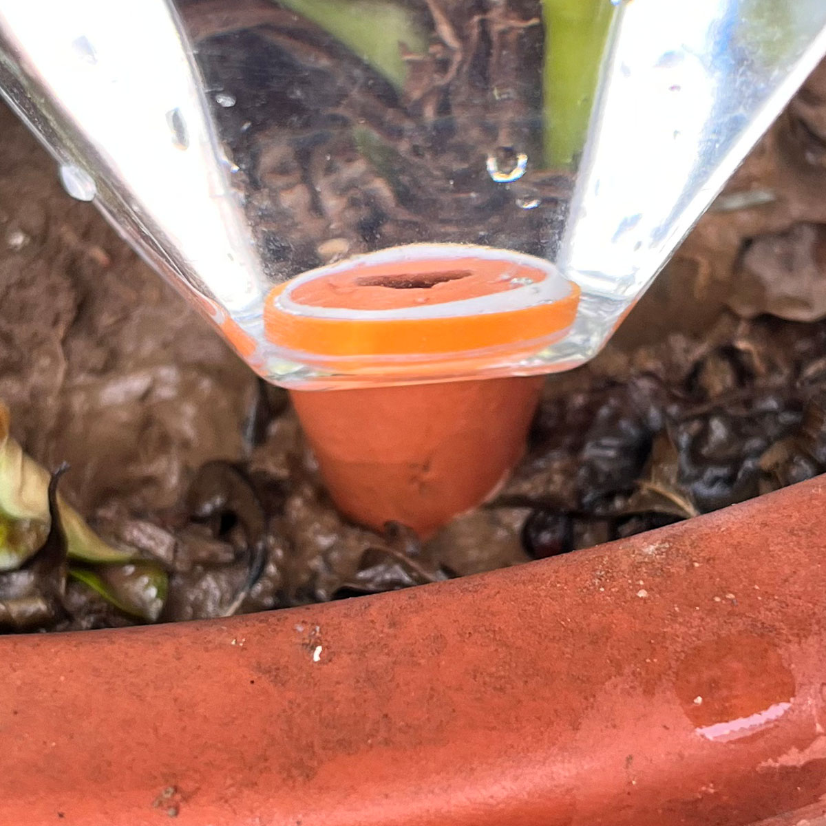 1 Stück Niedliche Kunststoff-B – Automatic Plant Waterer Bewertung und Preis