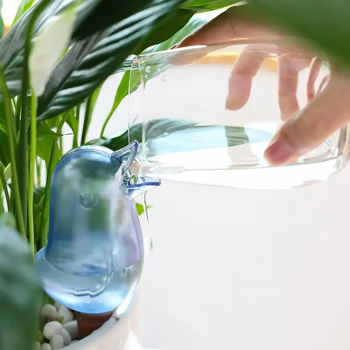 Hochwertiger automatischer Blu – Automatic Plant Waterer Bewertung und Preis