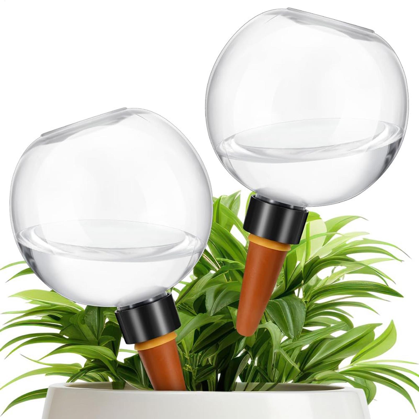 500 ml automatische Pflanzenbe – Automatic Plant Waterer Bewertung und Preis