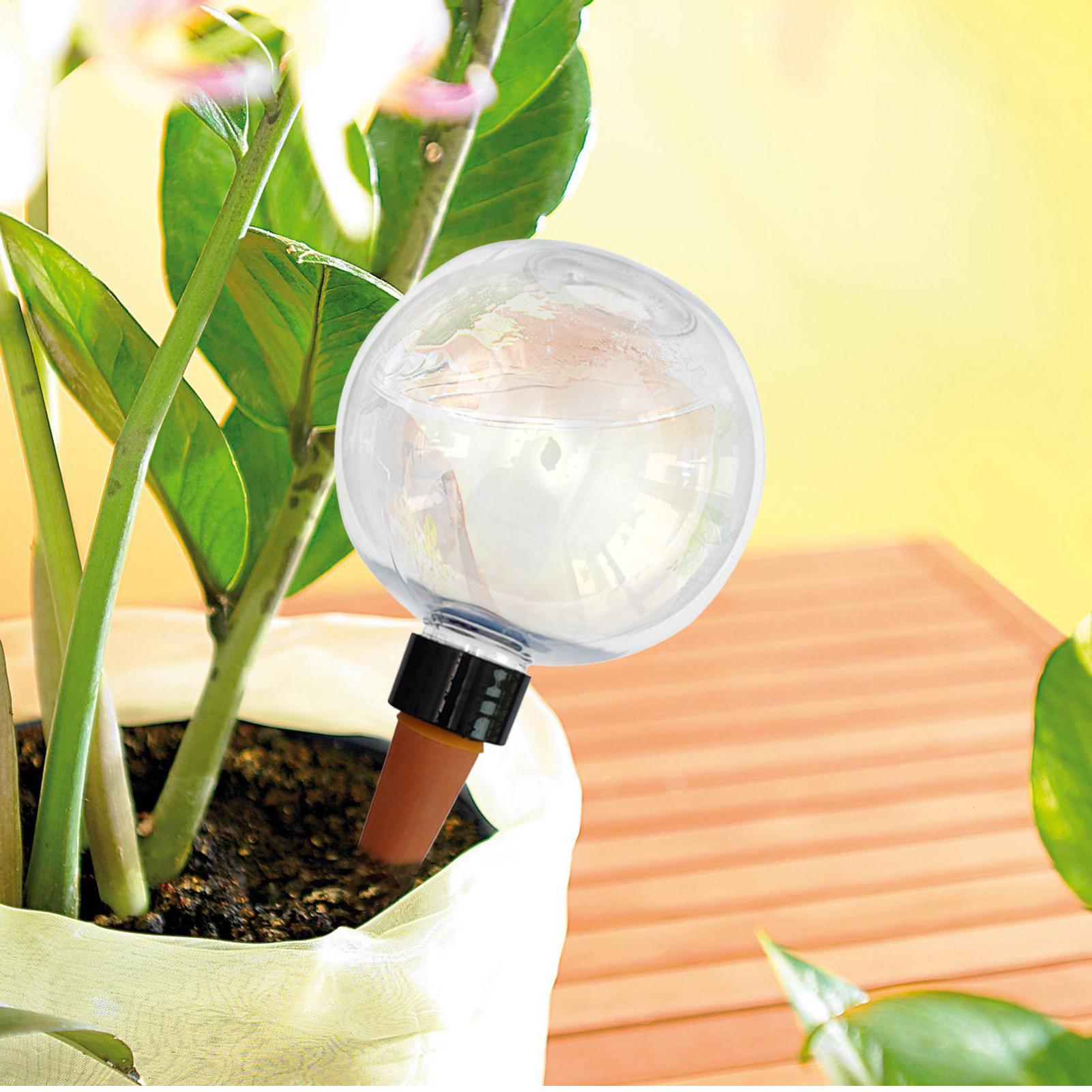 500 ml automatische Pflanzenbe – Automatic Plant Waterer Bewertung und Preis
