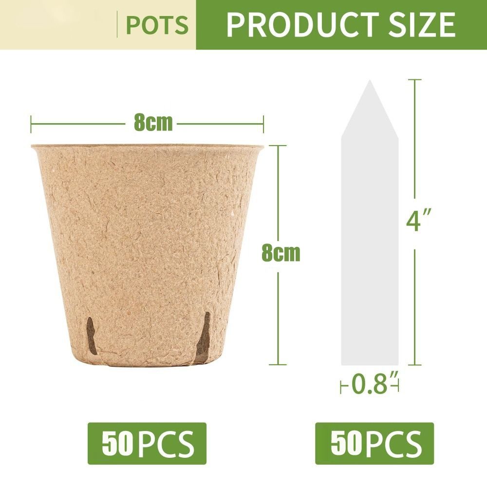 50 Stück Biologisch Abbaubare  – Seed Starter Trays Bewertung und Preis