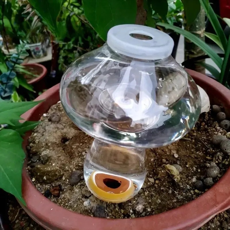 Automatischer Pflanzenbewässer – Automatic Plant Waterer Bewertung und Preis