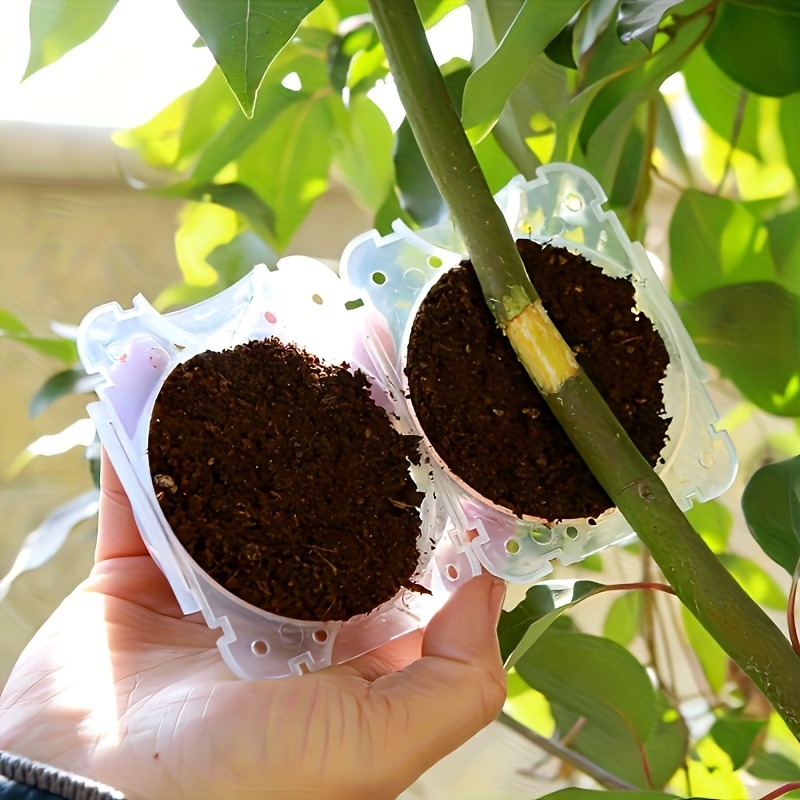 10-teiliges Hochdruck-Pflanzen – Gardening Tools To Cut Branches Bewertung und Preis